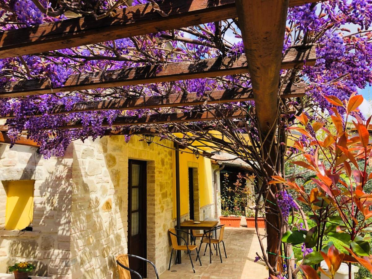 Il Cortile Delle Rose Holiday House Perugia Exteriör bild